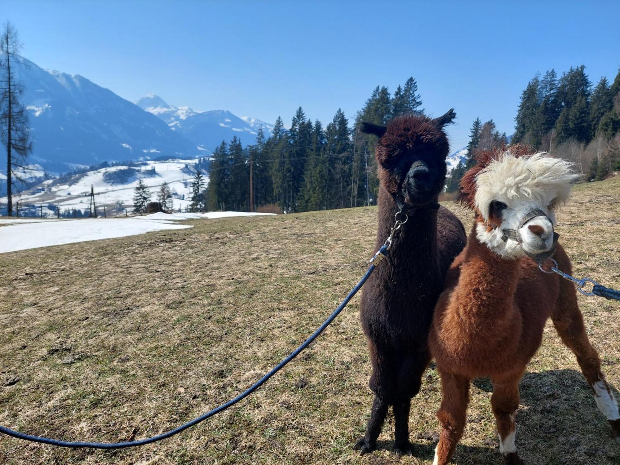 Villa Klockergut Sankt Veit im Pongau Exterior foto